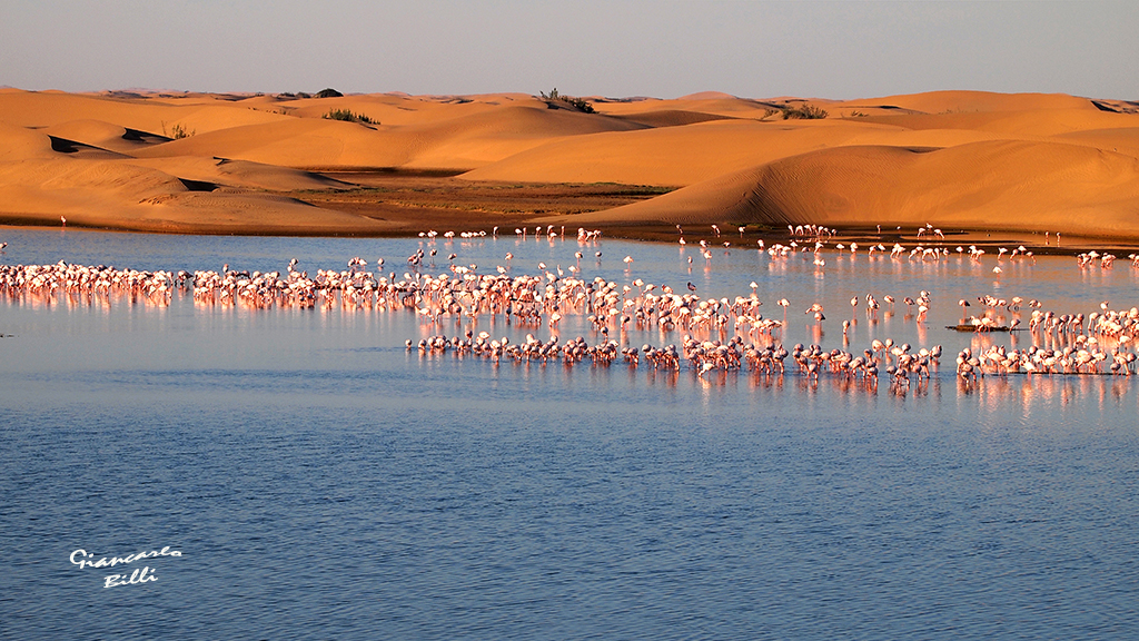Prepara il tuo viaggio in Namibia con me! Sereni e sicuri!